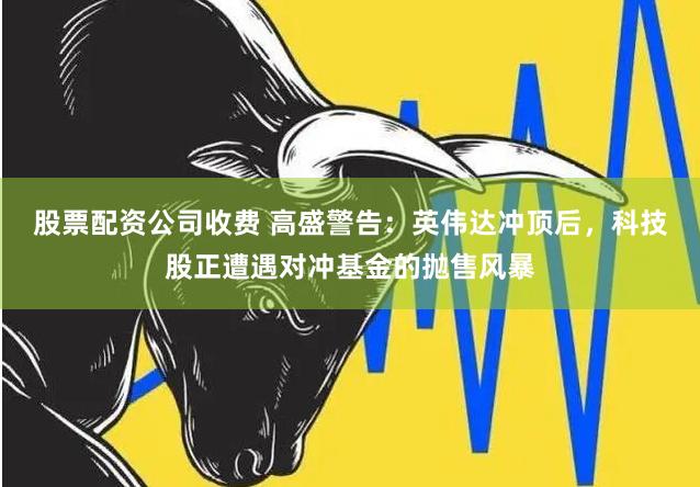 股票配资公司收费 高盛警告：英伟达冲顶后，科技股正遭遇对冲基金的抛售风暴