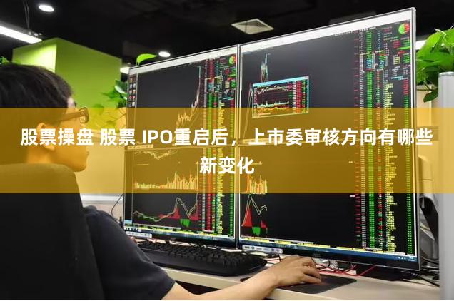 股票操盘 股票 IPO重启后，上市委审核方向有哪些新变化